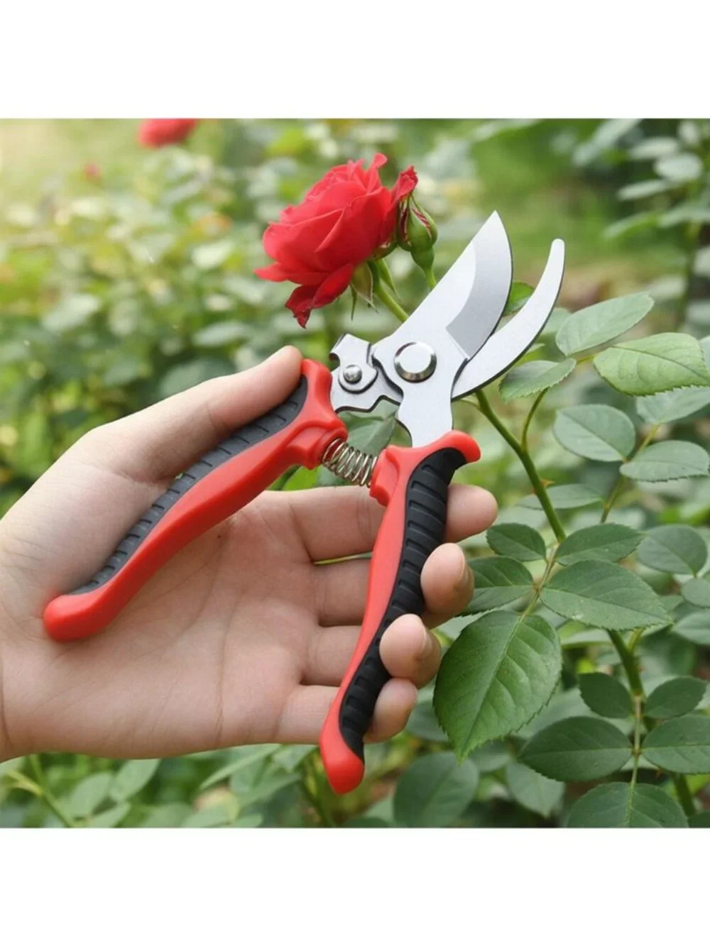 Garden Pruning Shears 7in Stainless Steel Scissors Houseplants Flowers Red Black